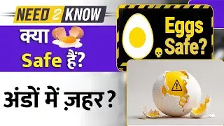 Nitrofurans Found in Eggs! | FSSAI Egg Safety Drive | Toxic Antibiotics in Eggs? | Need to know|UPSC