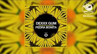 Dexxx Gum - Pedra Bonita (Original Mix) - SNK301
