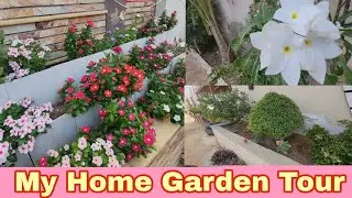 MY HOME GARDEN TOUR, Houseplant Collection of KK Home Gardening, My Summer Garden Tours, Plants Tour