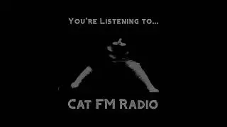 Cat FM Radio Bumper