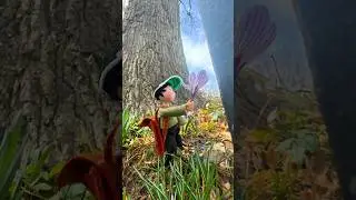 Маленькая бабушка собирает первые весенние цветы. #весна #цветы