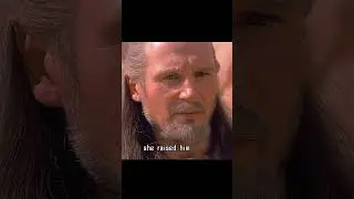 #Star Wars:EpisodeI - The Phantom Menace#movie I trust him, so I will choose him without hesitation.
