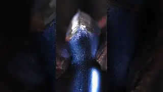 Close-Up Bite of Blue Aluminum