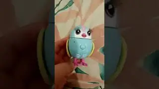 everyone hugs Bree cuz she's the smallest #shorts #bird #toys #animals