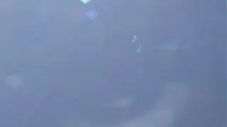 N-Prize Test Flight