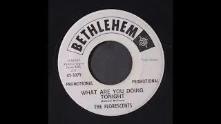 The Florescents - What Are You Doing Tonight 1963