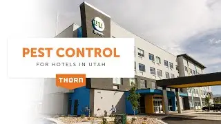 Our Pest Management Services for Hotels in Utah