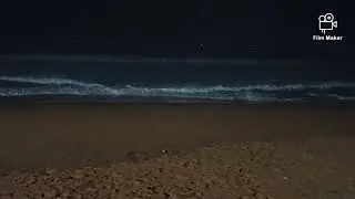 Relaxing midnight beach sounds | at 1 AM by the sea | calming waves & Moon Sunday special 😁