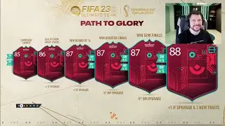 Path to Glory, World Cup & FIFA Grinding!