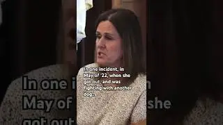 Chloe&rsquo;s bite history😨 #karenread #karenreadtrial #cantoncoverup #chloe #justiceforjohnokeefe #fkr