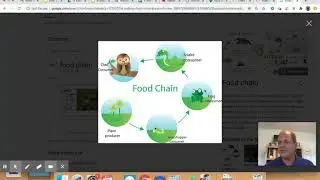Break in Food Chain