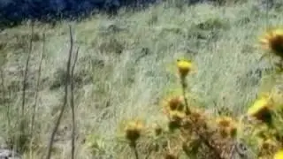 Leggende del Gargano (Puglia) - Sacro e Profano