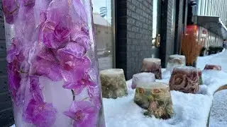 Прогулка с Ксенией в прямом эфире!