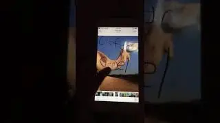 ABC zoo animals with Jack Cain