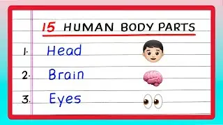 Human Body Parts Name | 15 Names of Human Body Parts | Write Human Body Parts