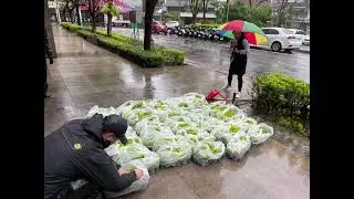 走過一年四季，迎向 2026。在城市與生活之間我們持續用專業守護每一片綠意。隨著季節轉換，植物進入快速生長期、高溫、梅雨、濕氣與病蟲害，都是庭園與社區景觀常見的挑戰。