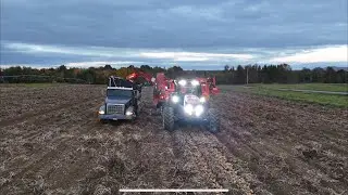 2024 Maine Potato Harvest