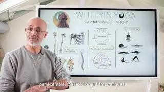 Yin Yoga - Approche Fonctionnelle et Anatomie