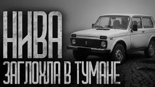 НИВА ЗАГЛОХЛА В АНОМАЛЬНОЙ ЗОНЕ! Страшные истории и страшилки.