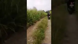 Buhay Ci