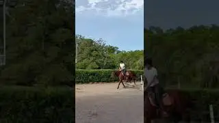 I am in Australia 🇦🇺 !!!!! #horse #equestrianjourney #horseenthusiast #equestrian ￼