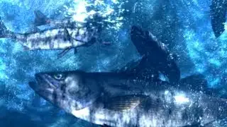 Fish Eyes II [Psx] - Intro