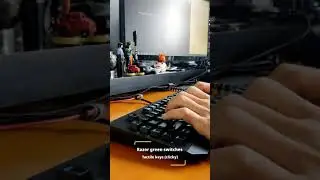 Can you silence a mechanical keyboard? Razer BlackWidow VS Ducky One 2 SF sound comparison