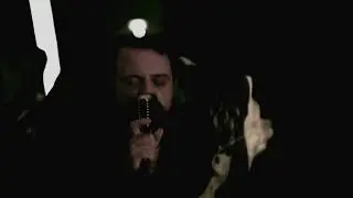Newton Colours - Falling Animals - (Official Vid&eacute;o)