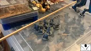 Wildspire Miniatures Realm Reforged Kickstarter Complete Review