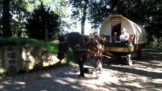 Planwagenurlaub