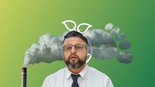 Carbon Neutral vs Carbon Negative