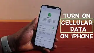 How to Turn on Cellular Data on iPhone