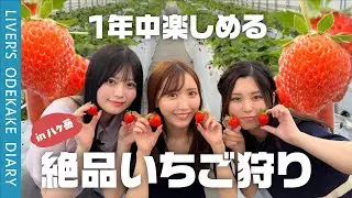 【食べ放題】１年中楽しめる！？絶品いちご狩りを堪能！！【in八ヶ岳】