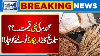 Big Update for Farmers | Govt Announces Wheat Purchase Price Fixed | Breaking News | Lahore News HD