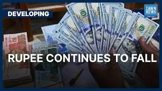 US Dollar Continues Upward Trajectory Against Rupee  | Developing | Dawn News English