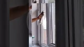 Oynani oson usulda dog' qoldirmasdan tozalash uchun life hack. Life hack for mirrors and windows.