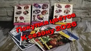 Купила цветочки к сезону 2026