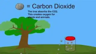 Impact of CO2 Capture on Carbon Emissions in 60 Seconds