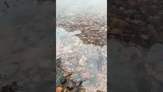 น้ำในทะเลสาป&mdash;กลายเป็นน้ำแข็ง #ice #nature #creative #shorts