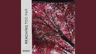 reaching too far (feat. riensu & Max Ruben) (Mirin Remix)
