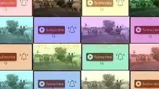 Matti vandi pandhayam
