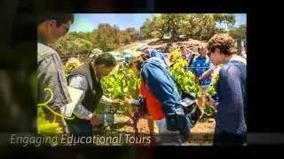 Zaca Mesa Winery - 1