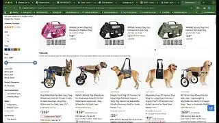 How to create a successful business on Amazon in 2026 ?
