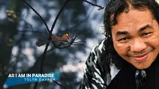 Tolyn - As I Am In Paradise