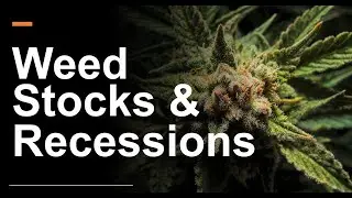 Weed Stocks in a Bear Market: Trouble Ahead?