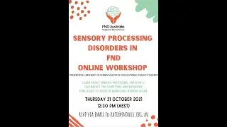 Sensory Workshop