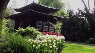 Japanischer Garten Leverkusen               Japanese Garden