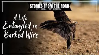 A Life Entangled in Barbed Wire | Stories from the Road