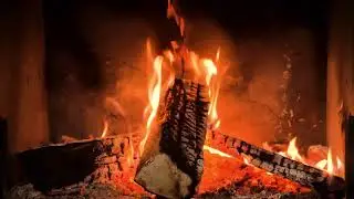 장작영상소리 #Bonfire #forest #Nature #ambient #ambience #loop