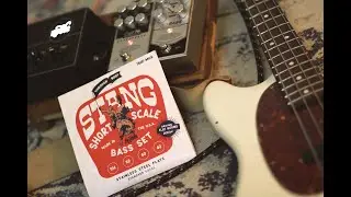 LaBella STANG Flat Wound Bass Strings